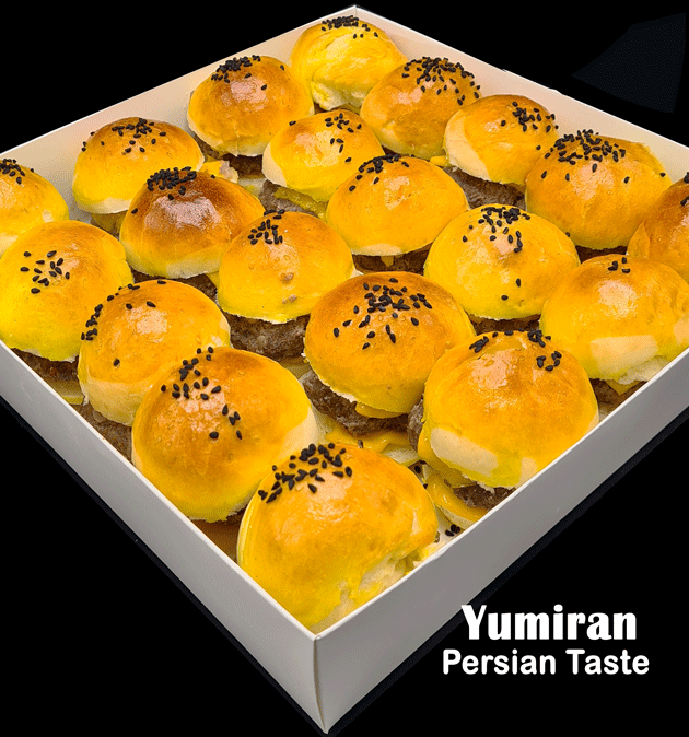 z164 مینی برگر