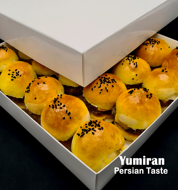 z165 مینی برگر