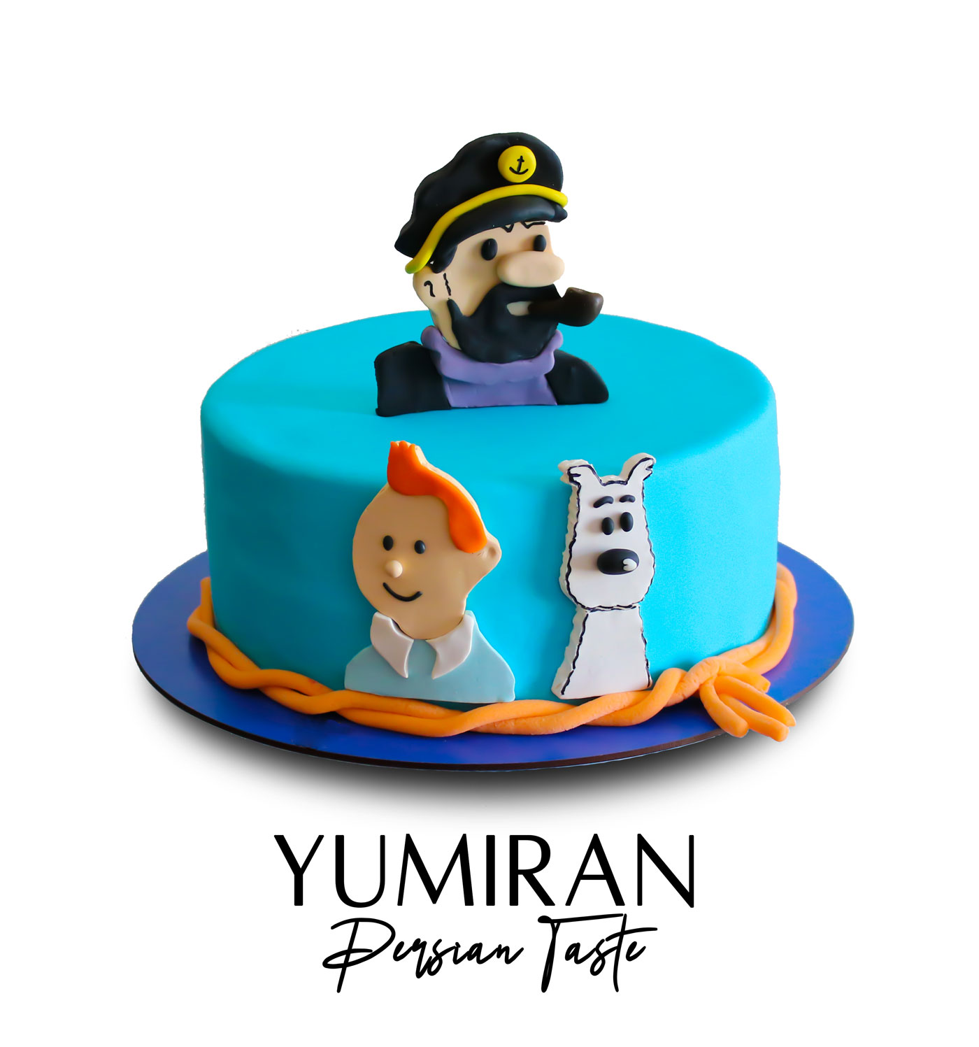 QQQQ (9) کیک فوندانت